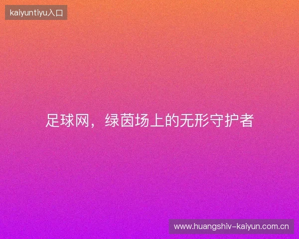 足球网，绿茵场上的无形守护者